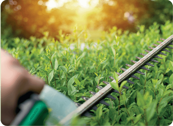 Sophie-Contact-Right