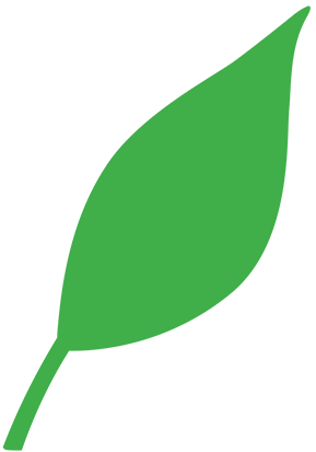 Sophie-Home-Testimonial-Leaf